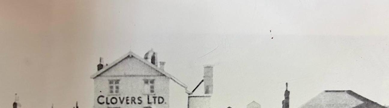 Halstead . Back in the Day