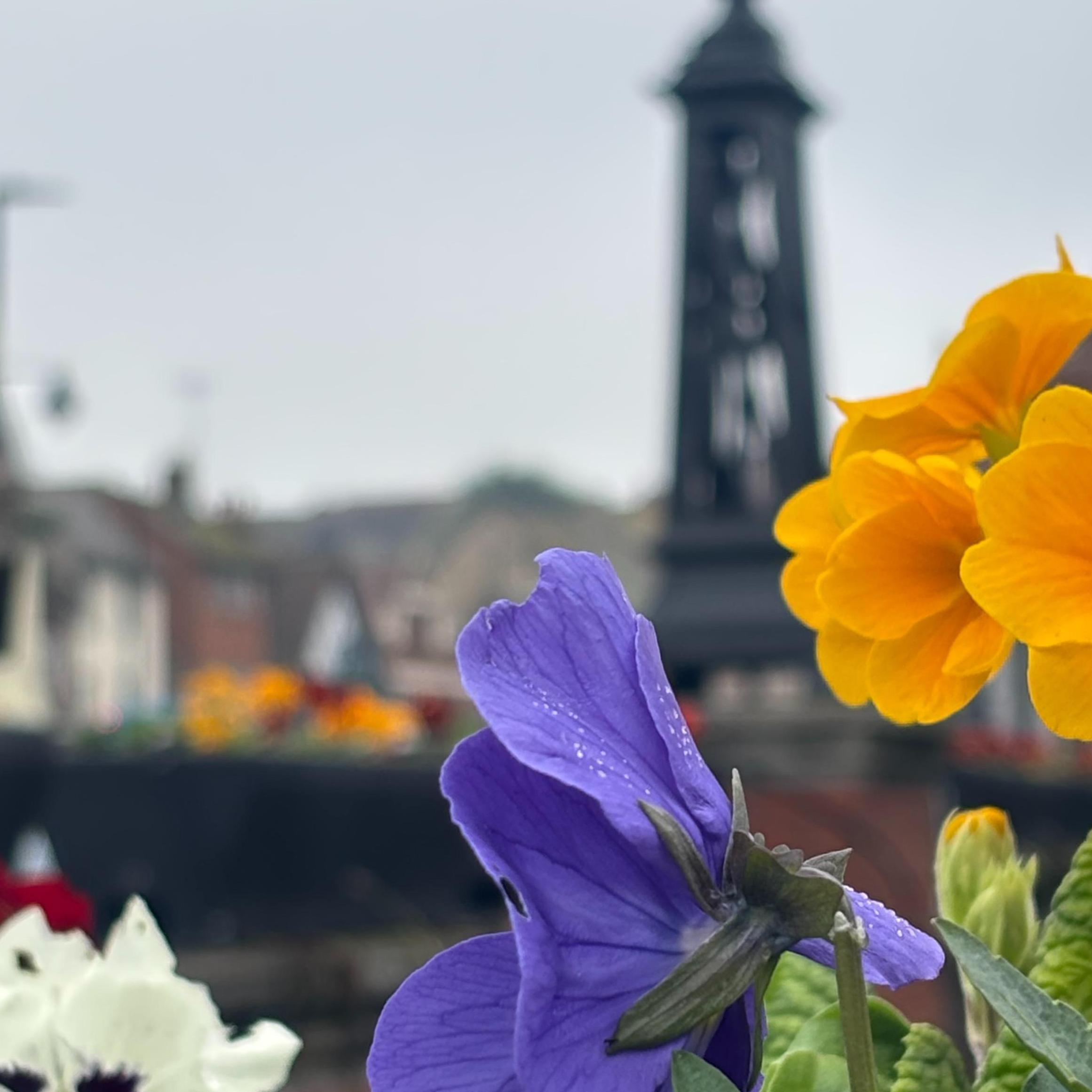 Halstead Town Group &mdash; The Good, The Bad & The Ugly